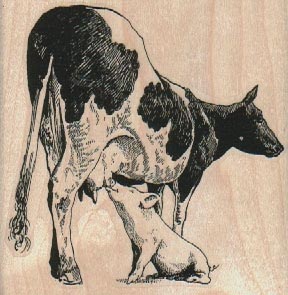 Cow And Piglet 3 x 3-0