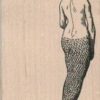 Mermaid 2 x 3-0