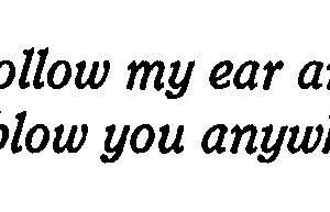 Follow My Ear 3/4 x 1 3/4-0