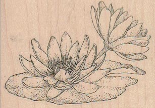 Flowering LilyPad 3 1/4 x 2 1/4