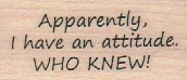 Apparently I Have An Attitude 1 x 1 3/4