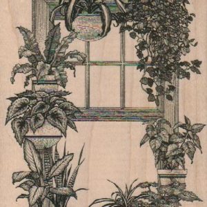 Window With Plants 4 x 5 1/4-0