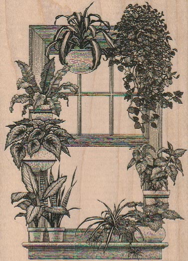 Window With Plants 4 x 5 1/4