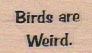 Birds Are Weird 3/4 x 1