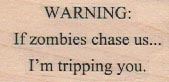 Warning: If Zombies 1 x 1 3/4