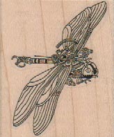 Steampunk Dragonfly 1 3/4 x 2