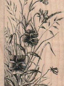 Wild Flowers 2 1/2 x 4-0