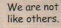 We Are Not Like Others 3/4 x 1 1/4