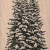 Christmas Trees Small 2 x 3-0