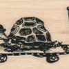 Skateboarding Turtle 1 1/2 x 2 3/4-0