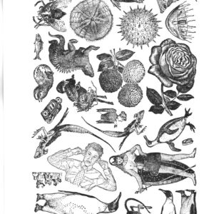 Plate 1314-0