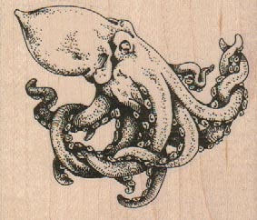 Octopus/Cephalopod 3 x 2 1/2
