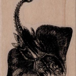 Manta Ray 2 x 2 1/2-0