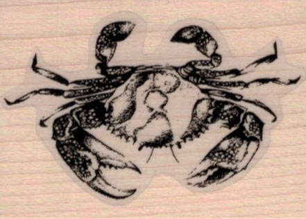 Dungeness Crab 1 3/4 x 2 1/4