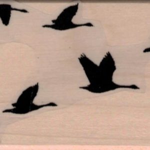 Flock of Geese 1 3/4 x 3-0