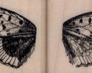 Pair of Butterfly Wings 1 1/4 x 1 1/4 each-0