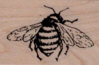 Bumble Bee 1 1/4 x 1 3/4