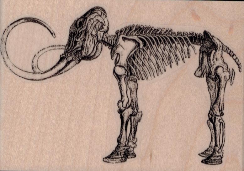 Woolly Mammoth Skeleton 4 x 2 3/4