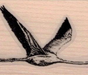 Flying Flamingo 1 1/2 x 2 3/4-0