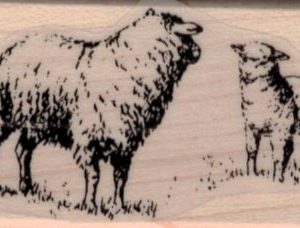Pair Of Sheep 1 1/4 x 2-0