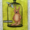 Bell Jar 3 x 4 3/4-44845