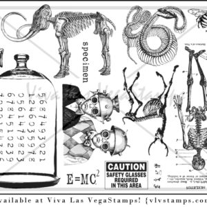 Plate 1456-0