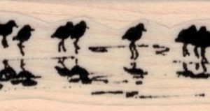 Sandpipers on Beach 1 x 3 1/4-0