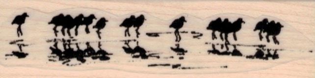 Sandpipers on Beach 1 x 3 1/4