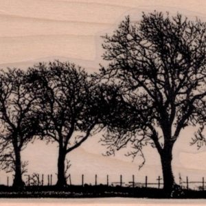 Leafless Trees In Field 3 x 4 3/4-0