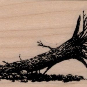 Fallen Tree 2 x 2 3/4-0