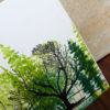 Fir Trees Silhouette 1 3/4 x 3 1/4-45074