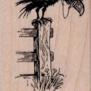 Vulture In Spectacles 1 3/4 x 2 1/4-0