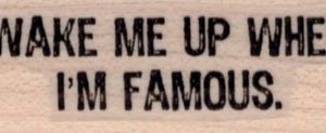 Wake Me Up When I'm Famous 3/4 x 2-0