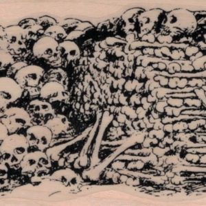 Pile of Bones and Skulls 2 1/2 x 4 1/2-0