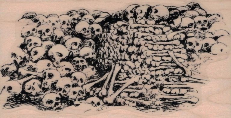 Pile of Bones and Skulls 2 1/2 x 4 1/2-0