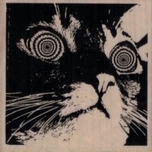 Hypnotic Cat 2 1/4 x 2 1/4-0