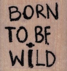 Born To Be Wild 1 1/4 x 1 1/4