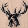 Deer Head by Cat Kerr 3 x 2 3/4-0