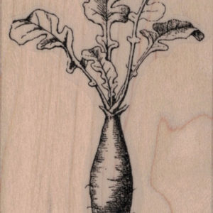 Radish 2 1/4 x 3 1/2-0