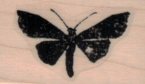 Distressed Butterfly Silhouette 1 x 1 1/2