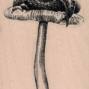 Toad On Toadstool 2 x 2 3/4-0