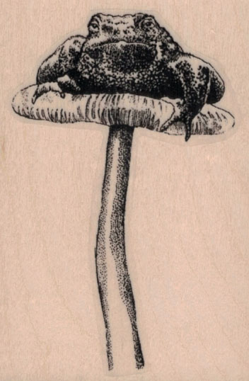 Toad On Toadstool 2 x 2 3/4