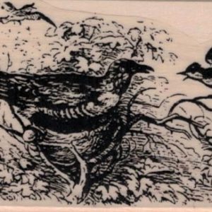 Bird In Birds Nest 1 3/4 x 3-0
