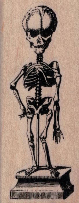 Skeleton On Pedestal 1 1/2 x 3 1/2