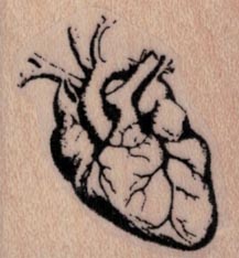Human Heart by Cat Kerr 1 1/4 x 1 1/4
