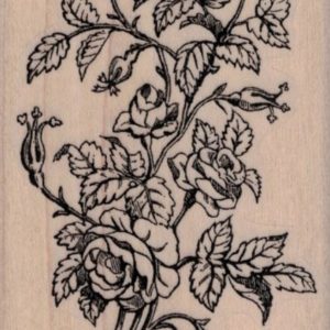 Rose Bush by Cat Kerr 2 1/4 x 3 1/2-0