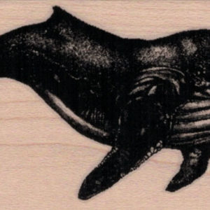 Humpback Whale 2 x 4-0