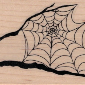 Spider Web In Tree Branches 2 1/2 x 4 3/4-0