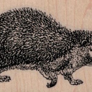 Hedgehog 2 1/2 x 1 3/4-0