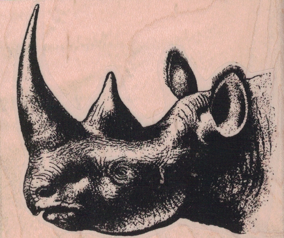 Rhinoceros Head 3 x 2 1/2